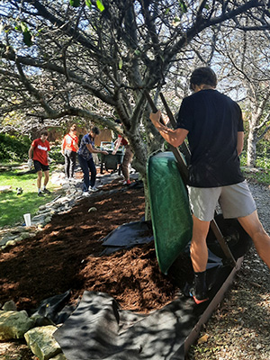 Day of Caring 2021 - Volunteers