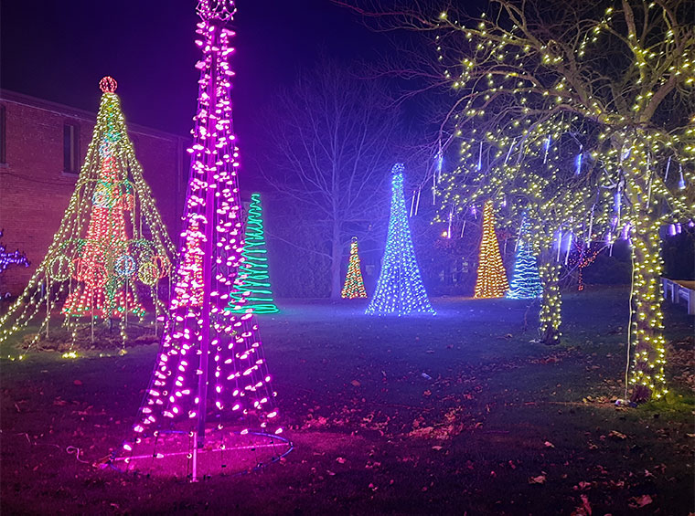 2021 Christmas Walk - AAHC Tree Lights