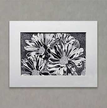 "Dotted Daisies" By Brevan T