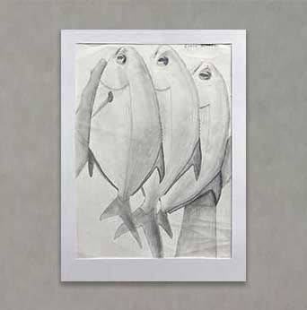 "Pompano" By Caelin H.