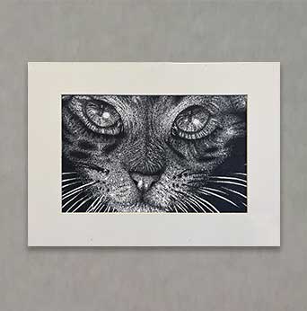 "Bruno" By Emerson R.