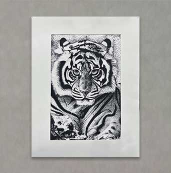 "Spotted Tiger" By Jasmine W.