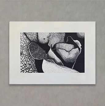 "Dots of a Rose" By Mackinzie L.