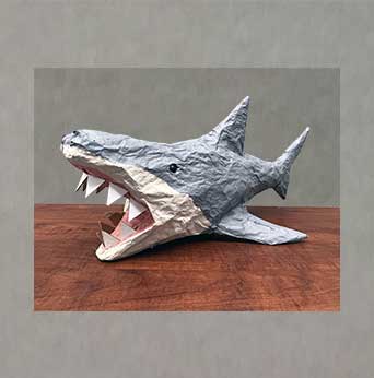 "Shark" By Noah C.