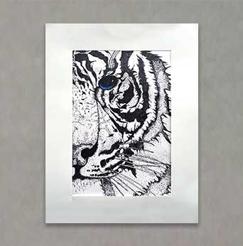 "Blue Eyed Tiger" By Sydney H.