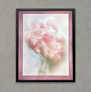 Photography Exhibit 2022 - Barbara Grimball - Pretty In Pink