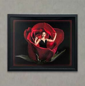 Photography Exhibit 2022 - Connie Grant -Coming Out Roses