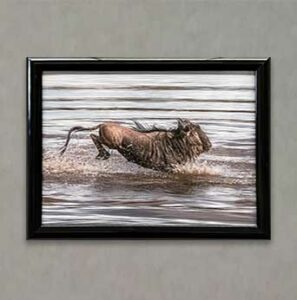 Photography Exhibit 2022 - Connie Grant - Wildebeest Swim