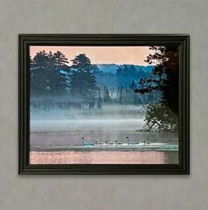 Photography Exhibit 2022 - Greg Everson - Morning Mist