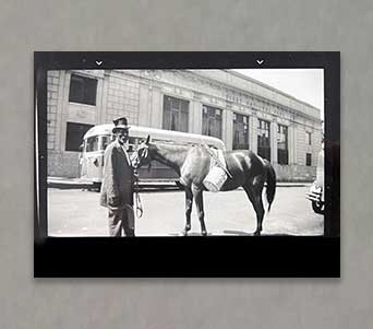 Mike Bertram Collection - Man with his mule - Downtown New Castle - 1940