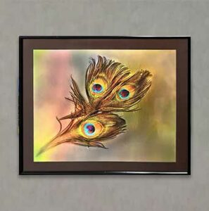 Photography Exhibit 2022 - Ray Grimball - Peacock Pastel